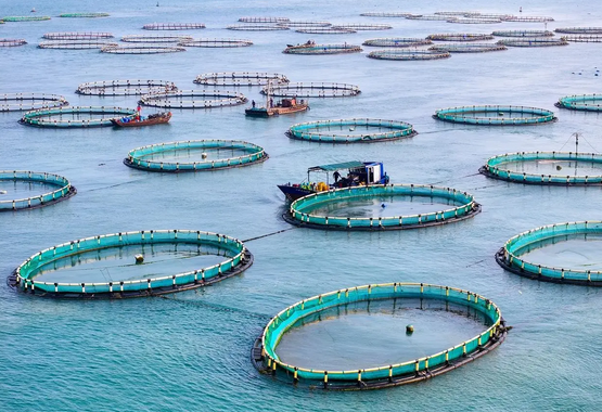 1768035723141524.png 火狐截图_2026-01-10T09-02-04.961Z.png